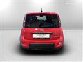 FIAT PANDA 1.0 firefly hybrid Sport s&s 70cv