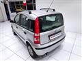 FIAT PANDA 1.2 Dualogic