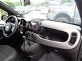 FIAT PANDA 1000 HYBRID SPORT 70CV CARPLAY 5 POSTI "16 ITALIA