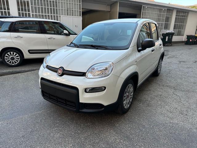 FIAT PANDA 1.0 Hybrid 70cv 36 Rate da 177,95