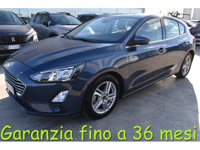 FORD FOCUS 1.5 EcoBlue 120 CV automatico 5p. Business Co-Pilo