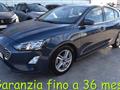 FORD FOCUS 1.5 EcoBlue 120 CV automatico 5p. Business Co-Pilo