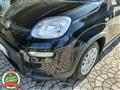 FIAT PANDA 1.0 FireFly S&S Hybrid Ok NEOPATENTATI