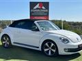 VOLKSWAGEN MAGGIOLINO Cabrio 1.4 TSI DSG Sport 60's (Fender/LED/Auto)