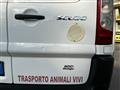 FIAT SCUDO 2.0 120 CV - TRASPORTO ANIMALI Scudo 2.0 MJT DPF PL-TA Furgone Vtr. Maxi 12q. Comfort (M1)