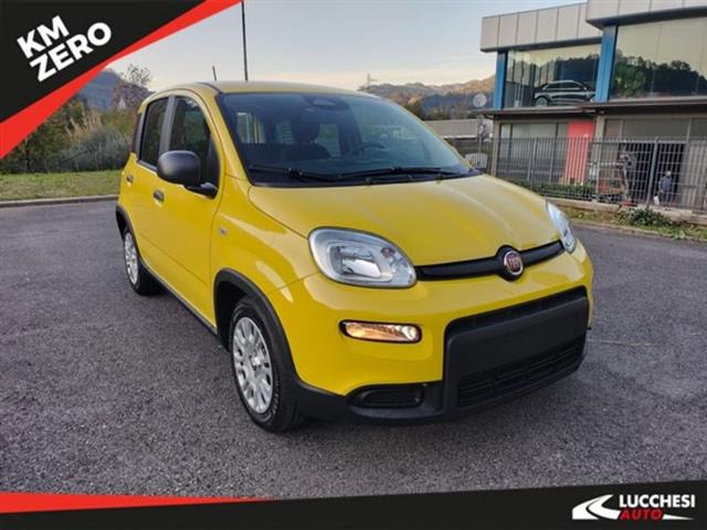 FIAT PANDA 1.0 FireFly S&S Hybrid Pandina