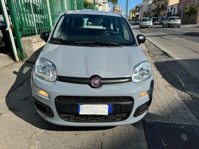 FIAT PANDA 1.0 GPL FireFly S&S Hybrid TAGLIANDATA E GARANTITA