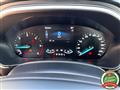 FORD FOCUS 1.5 EcoBlue 120 CV automatico SW Business Co-Pilot