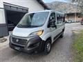 FIAT DUCATO 290 Panorama 30 2020 panorama 30 CH1 2.3 mjt 140cv E6d-temp