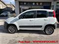 FIAT PANDA VAN 1.3 MJT 4x4 Pop Imm Vettura