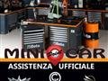 CASALINI ALPINA 550 COUNTRY - MINICAR