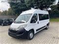 FIAT DUCATO CITROEN JUMPER  *Trasporto DISABILI *9 Posti