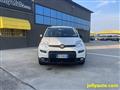 FIAT PANDA VAN 1.0 GSE S&S Hybrid Street Van 4 posti - N1 AUTOCAR