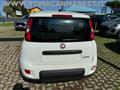 FIAT PANDA 1.0 FireFly S&S Hybrid SENSORI PARK RADIO BT KM0