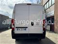 FIAT DUCATO Coibentato Isotermico Frigorifero