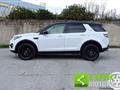 LAND ROVER DISCOVERY SPORT 2.0 eD4 150 CV 2WD (Autocarro)