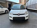 FIAT PANDA 1.0 Hybrid 70cv 36 Rate da 177,95