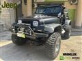 JEEP WRANGLER 4.0 cat Hard top (EU)