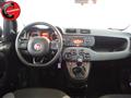 FIAT PANDA 1.2  Lounge