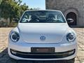 VOLKSWAGEN MAGGIOLINO Cabrio 1.4 TSI DSG Sport 60's (Fender/LED/Auto)