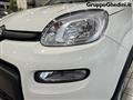 FIAT PANDA 1.0 FireFly S&S Hybrid Pandina