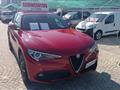 ALFA ROMEO STELVIO 2.2 Turbodiesel 190 CV AT8 RWD SUPER Full Optinals