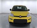 FIAT PANDA 1.0 FireFly S&S Hybrid Pandina PREZZO REALE