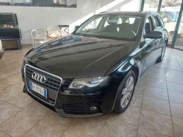 AUDI A4 AVANT Avant 2.0 TDI 143 CV F.AP. multitronic