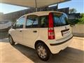 FIAT PANDA 1.2 MyLife OK NEOPATENTATI EURO 5