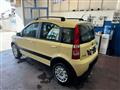 FIAT PANDA RECANATI - NEOPATENTATI - 1.2 4x4 Climbing