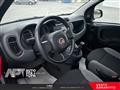 FIAT PANDA 1.0 firefly hybrid s&s 70cv 5p.ti