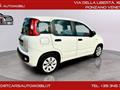 FIAT Panda 1.3JET NOLEGGIO 50 EURO AL GIORNO