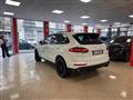 PORSCHE CAYENNE 3.0 Diesel Platinum Edition