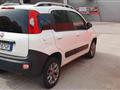 FIAT PANDA 1.3 Multijet 4x4 VAN 2 POSTI