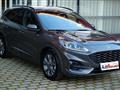 FORD KUGA 2.0 EcoBlue 120 CV aut. AWD ST-Line