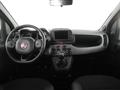 FIAT PANDA 1.0 FireFly S&S Hybrid Sport