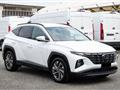 HYUNDAI NUOVA TUCSON Tucson 1.6 CRDI Exellence