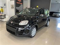 FIAT Panda 1.0 firefly hybrid s&s 70cv