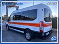 FORD TRANSIT 2.0 EcoBlue 130CV L3H2 9 Posti Trasporto Disabili