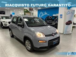 FIAT Panda 1.0 firefly hybrid s&s 70cv