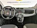 FIAT PANDA 1.0 FireFly S&S Hybrid City Life  5 POSTI