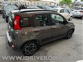 FIAT PANDA 1.0 FireFly Hybrid City-Life + gpl