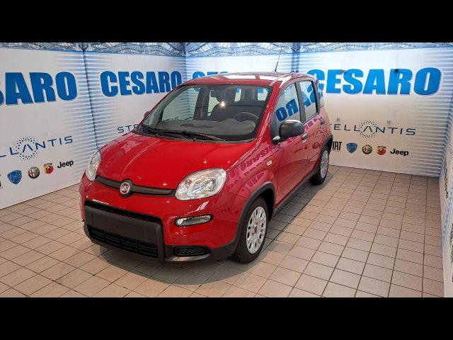 FIAT PANDA CROSS 1.0 firefly hybrid 70cv