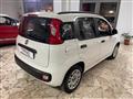 FIAT PANDA 1.2 Pop