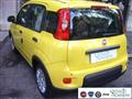 FIAT PANDA 1.0 FireFly S&S Hybrid Pandina Urban Km 0