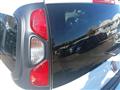 FIAT PANDA III 2021 Cross 1.0 firefly hybrid Cross s&s 70cv 5p.ti