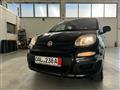 FIAT PANDA 1.2 Lounge 69CV Neopatentati Ok