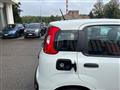 FIAT PANDA PROMO FINANZIAMENTO 1.2 Pop