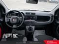 FIAT PANDA 1.0 firefly hybrid s&s 70cv 5p.ti