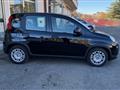 FIAT PANDA 1.0 FireFly S&S Hybrid Pandina